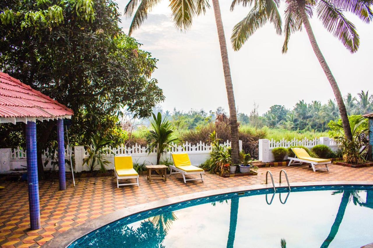 The Turquoiise House Hotel Morjim Exterior photo